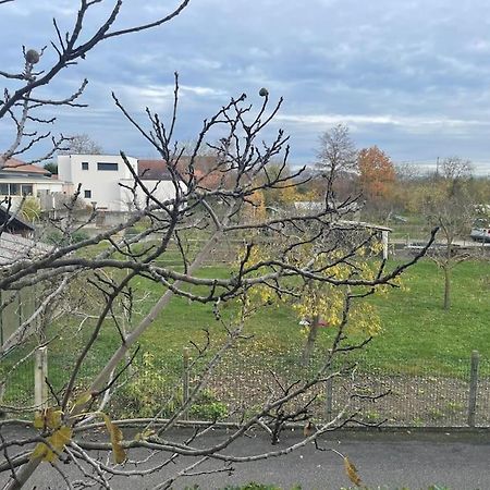 شقة La Grange Proche D'Europapark Kunheim المظهر الخارجي الصورة