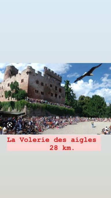 شقة La Grange Proche D'Europapark Kunheim المظهر الخارجي الصورة