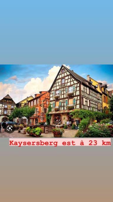 شقة La Grange Proche D'Europapark Kunheim المظهر الخارجي الصورة