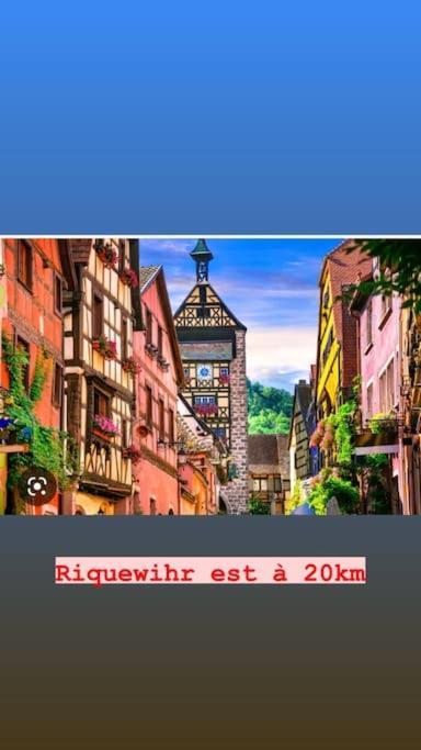شقة La Grange Proche D'Europapark Kunheim المظهر الخارجي الصورة