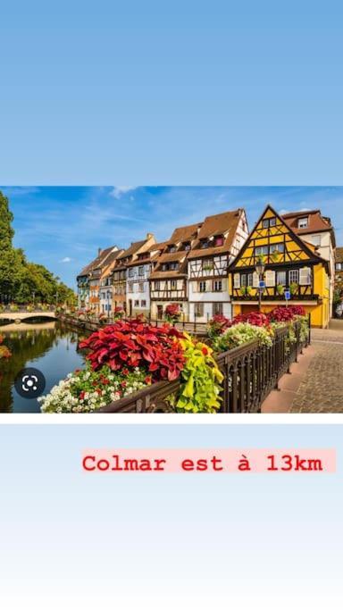 شقة La Grange Proche D'Europapark Kunheim المظهر الخارجي الصورة
